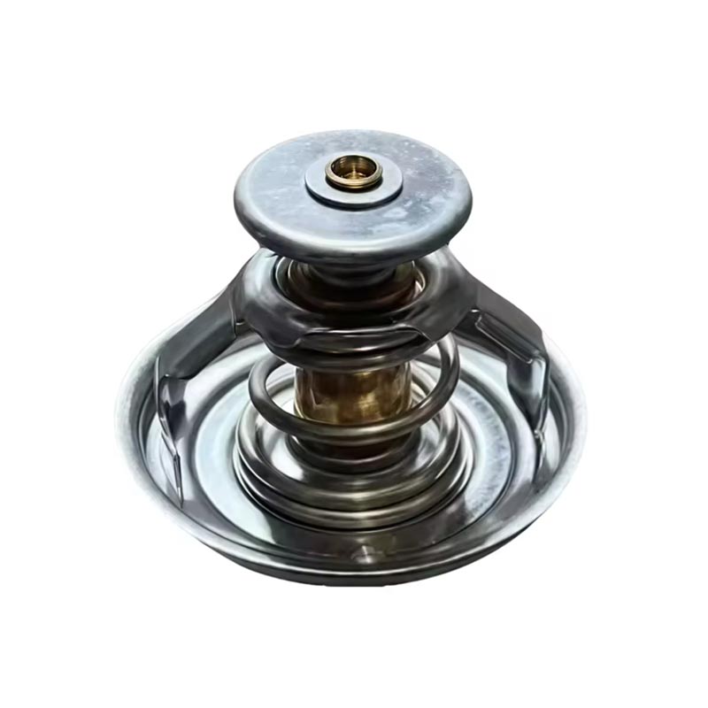 Termostat motoru nákladního automobilu 1000837830